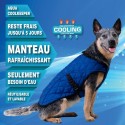 Aqua Coolkeeper Manteau rafraîchissant Cooling pet bleu