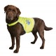 Gilet de sécurité fluo pour chien XS