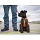 Harnais Dog Copenhagen Walk air XL