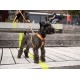 Harnais Dog Copenhagen Walk air XL