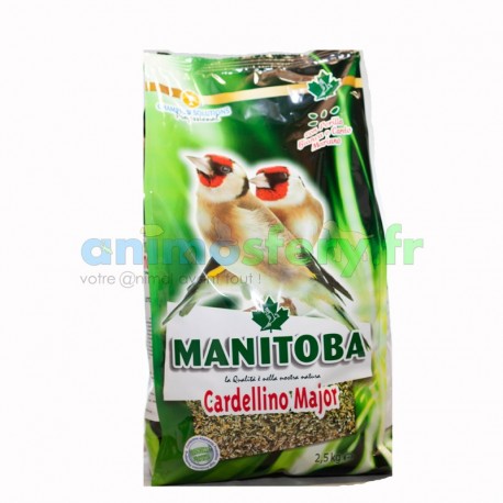 Manitoba Cardellino Major chardonneret 2.5 Kg