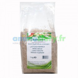 Manitoba Graine de laitue blanche 1Kg