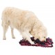 Trixie tapis de fouille Sniffing Carpet Dog Activity 50 X 34cm
