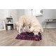 Trixie tapis de fouille Sniffing Carpet Dog Activity 50 X 34cm