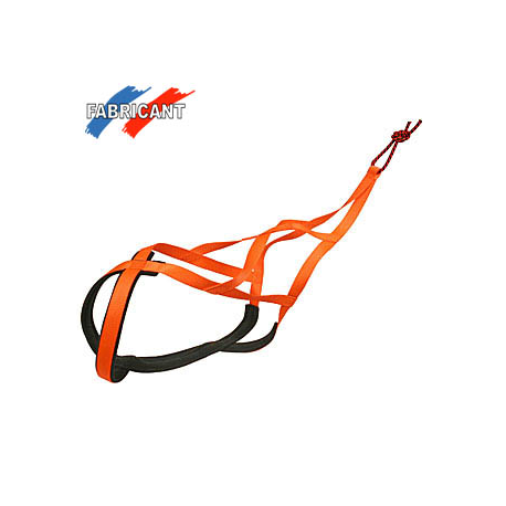 Harnais canicross X-back fluo orange T50