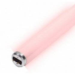Néons T8 Lumivie SP (rose)