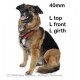 Dog Games Harnais Perfect Fit 40mm