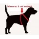 Dog Games Harnais Perfect Fit 40mm