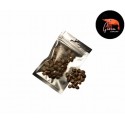 Gioiashrimp Graines de moringa X 50 pour crevettes d'aquarium