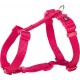  Fushia