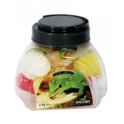 Reptiles Planet Vita jelly Mix Lizard 10 pièces