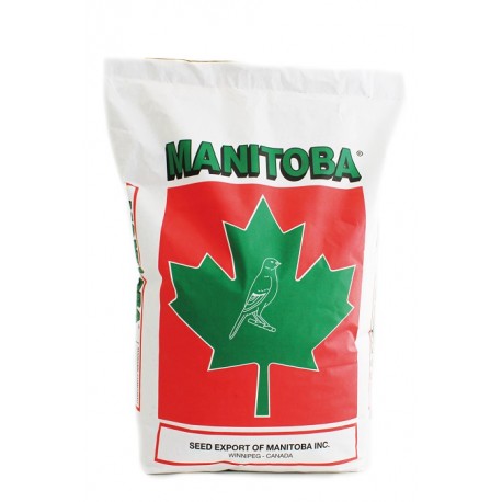 Mélange canari sans navette T3 Platino 20 Kg Manitoba